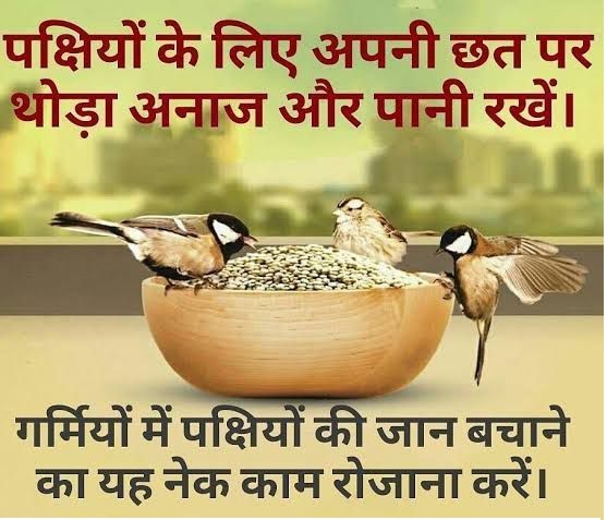 “हैंडीहोप पक्षी (Birds) मित्र कार्यक्रम”
